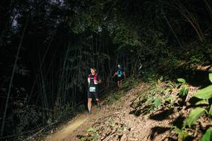 BIB: 
                            <button type="button" onclick="openModal(28114504)" class="btn btn-primary btn-sm float-right btn-popup" data-toggle="modal" data-target=".modal-high-quality">
                        <i class="fas fa-shopping-cart"></i> Add to Cart
                    </button>
                                            <button type="button" onclick="isThisMe(28114504, true)" class="btn btn-success btn-sm float-right btn-popup btn-isme hidden" data-toggle="tooltip" data-placement="bottom" title="นี่คือรูปของคุณใช่ไหม คลิกที่นี่เพื่อเอาเข้าอัลบั้ม">
                        <i class="fas fa-plus"></i> Add to album
                    </button>
                    <button type="button" onclick="isThisMe(28114504, false)" class="btn btn-warning btn-sm float-right btn-popup btn-isnotme hidden">
                        <i class="fas fa-ban"></i> Remove from album
                    </button>